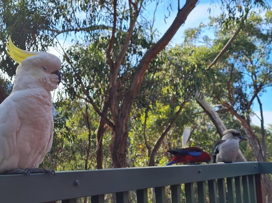 Halls Gap Hideaway Villa Bagian luar foto